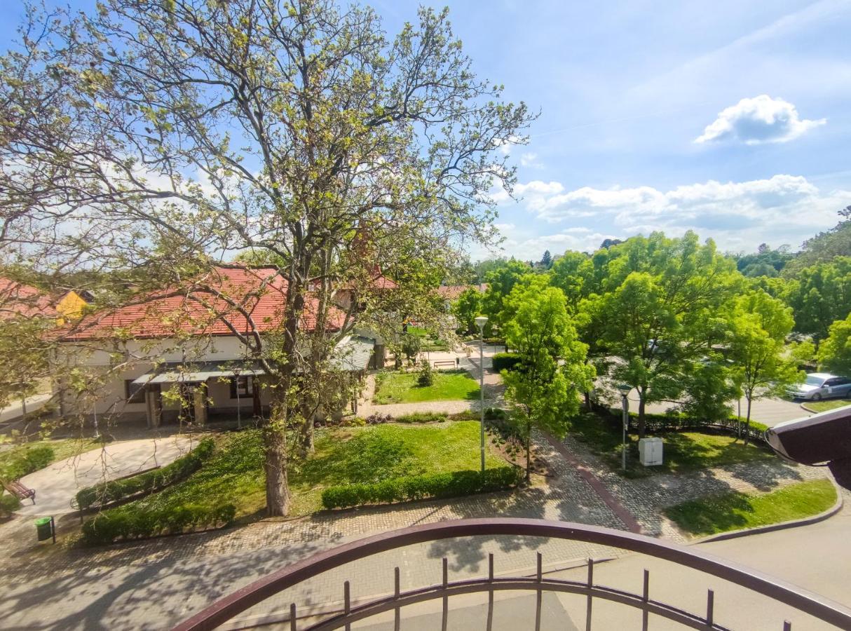 Viktoria Panzio Zamardi Hotel Luaran gambar
